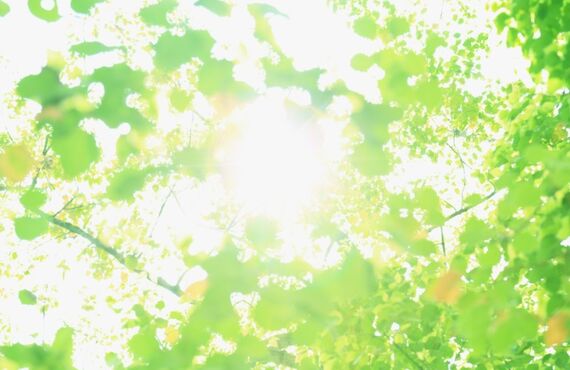 サウナのおともに最高 | 通販でドライフルーツを購入するならむらおか研究所